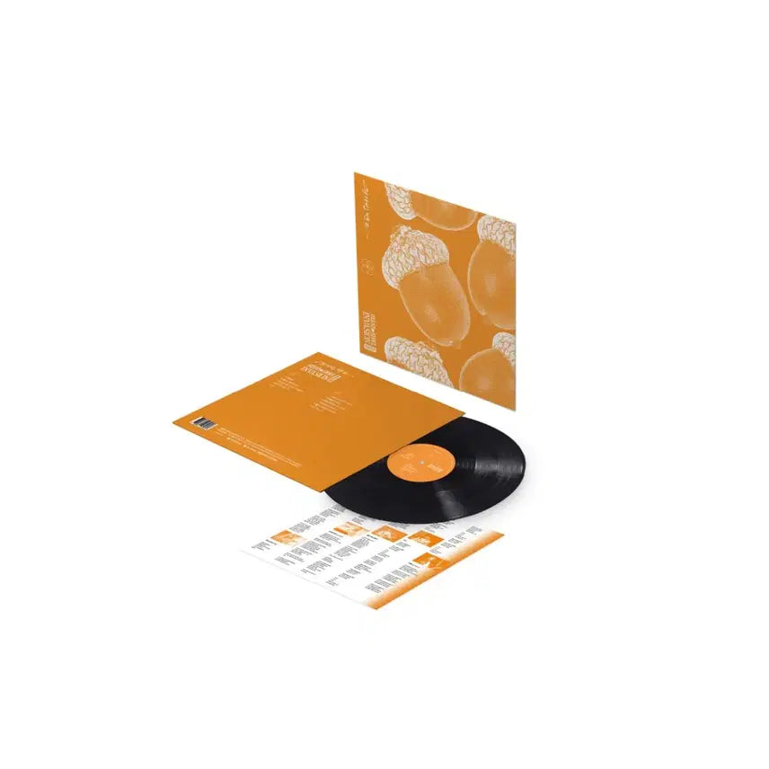 [SOLD OUT] 미개봉 유다빈밴드 GSI Edition Lp