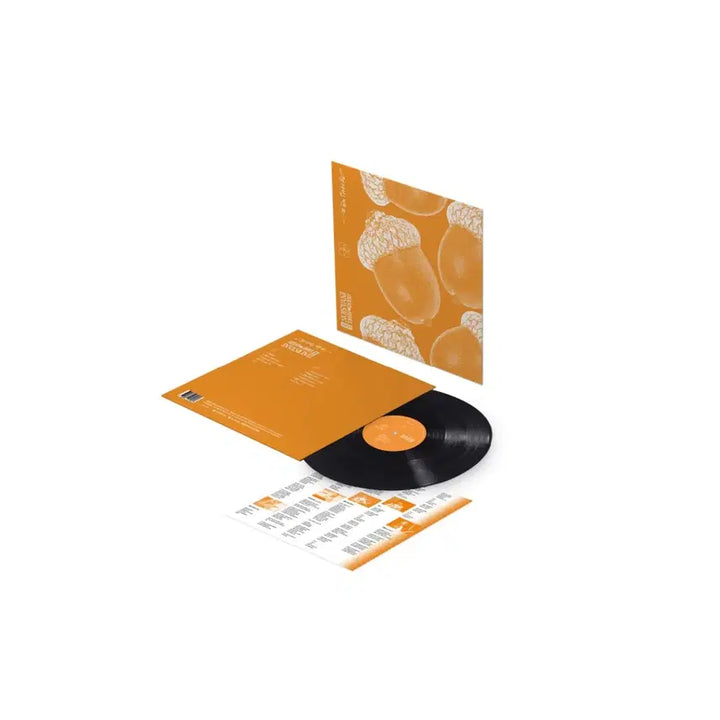 [SOLD OUT] 미개봉 유다빈밴드 GSI Edition Lp