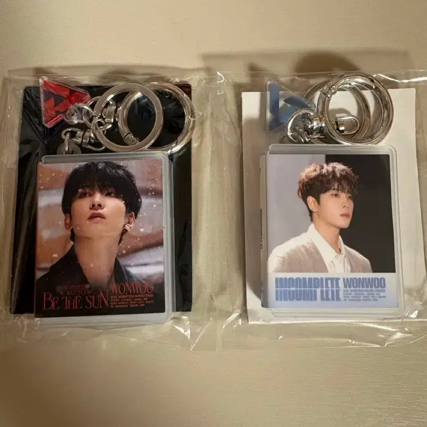 [SOLD OUT] 세븐틴 디지털 리캡 원우 세트양도