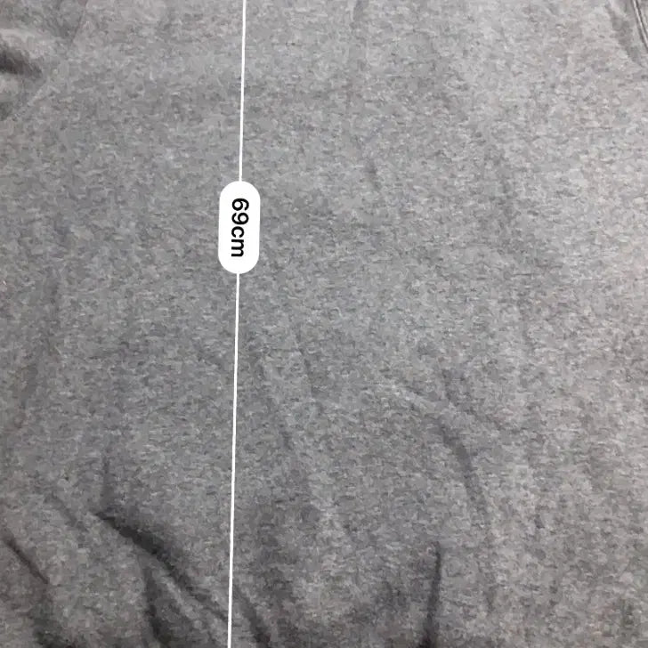 [BUNJANG] Dickies Logo Hoodie / 디키즈 로고 후드티