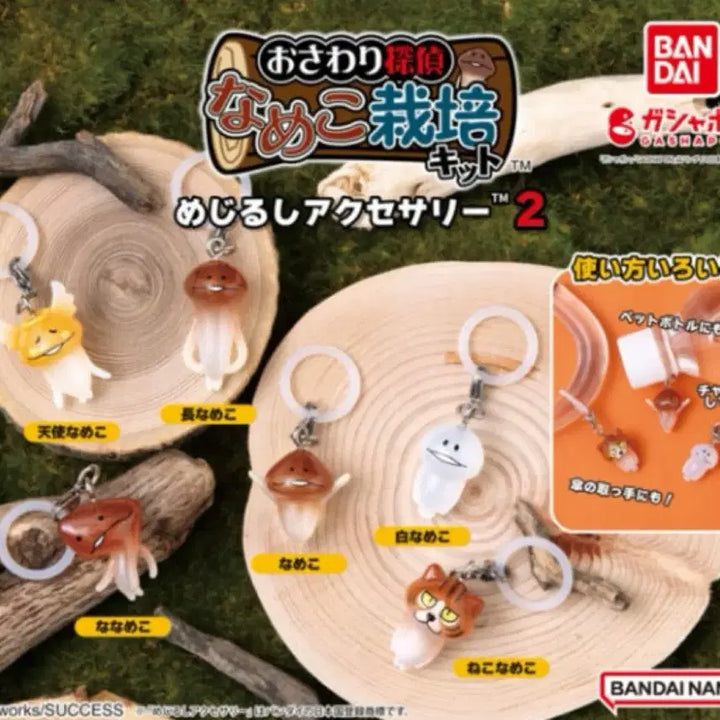 [BUNJANG] Nameko Character Goods Bundle Set / 마지막 가격내림))나메코 메지루시 2탄 일괄