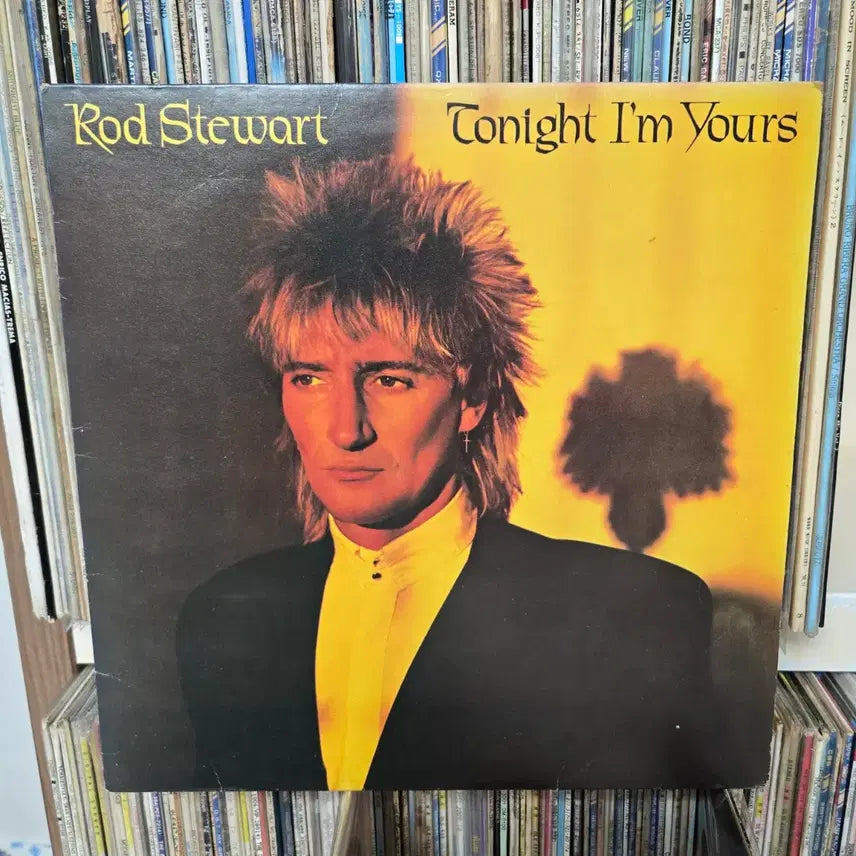[BUNJANG] Rod Stewart LP Record / 로드 스튜어트 LP판