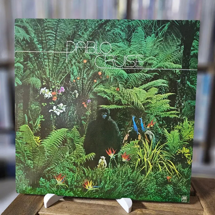 [BUNJANG] Pablo Cruise Debut LP Album / (미국반, 웨스트코스트 밴드 파블로 크루즈) Pablo Cruise LP