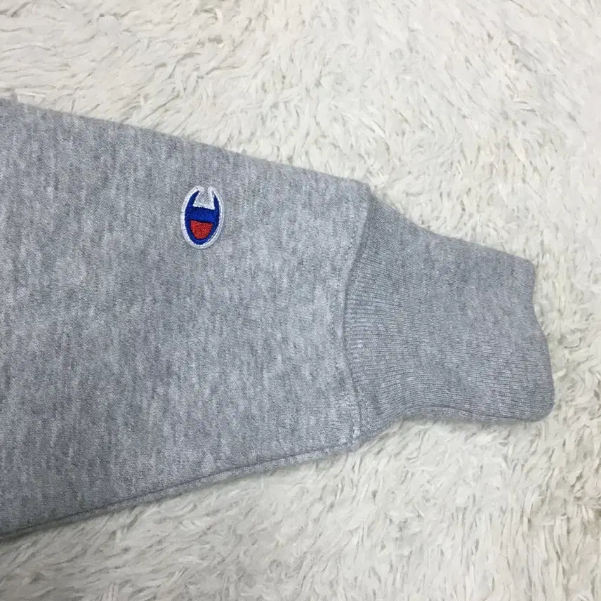 [BUNJANG] Champion Reverse Weave Half-Zip Sweatshirt / 챔피온 리버스위브 구글 하프집업 맨투맨 DD14