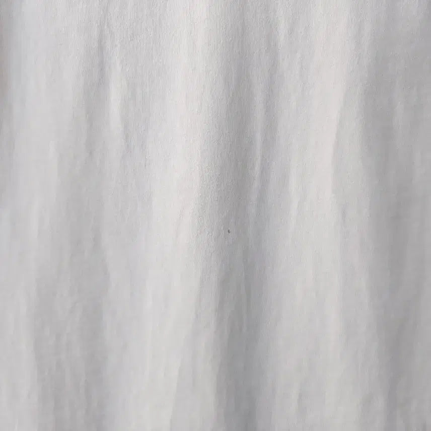 [BUNJANG] Lacoste Relaxed Fit T-shirt / 라코스테 XL/110 릴렉스핏 라운드넥 반팔 티셔츠. BG. -A