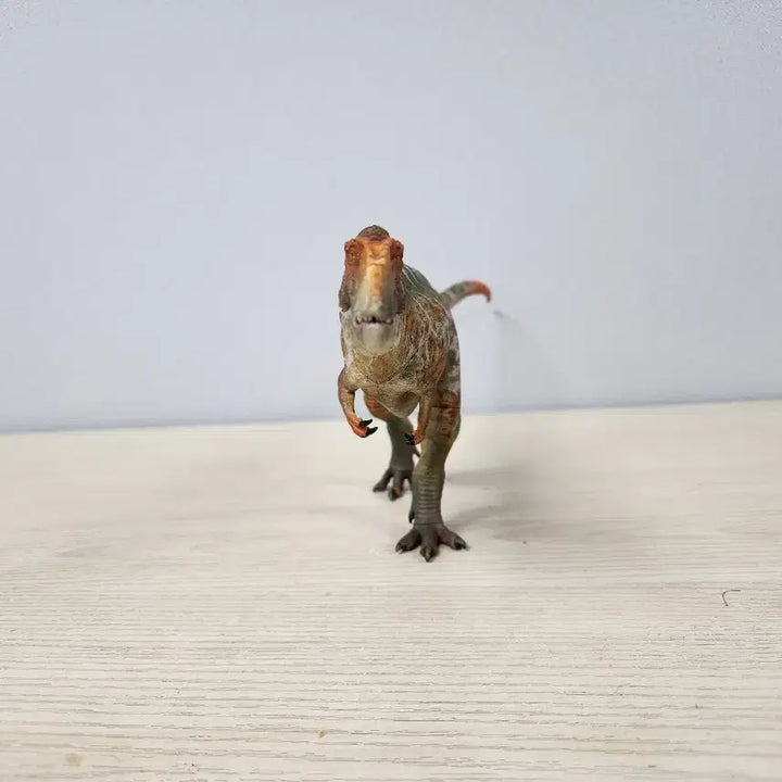 [BUNJANG] Haolonggood Carcharodontosaurus Figure / 하오롱굿 카르카로돈토사우루스 피규어