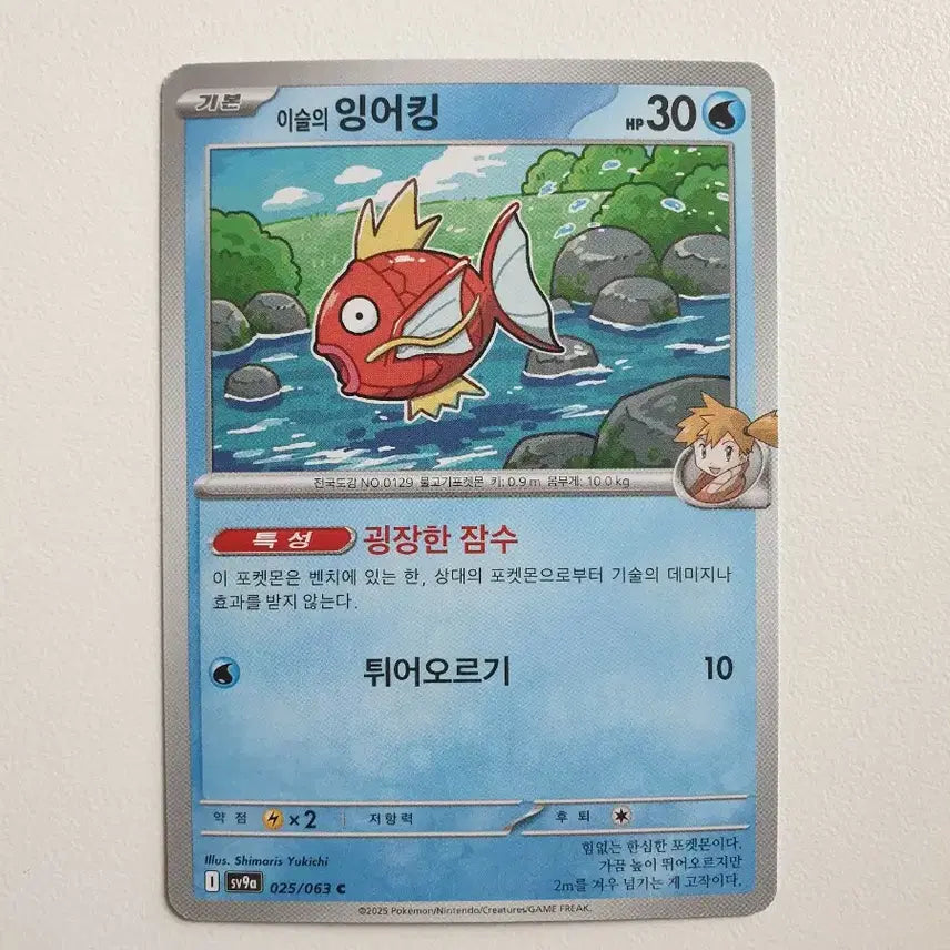 [SOLD OUT] 잉어킹 포켓몬카드