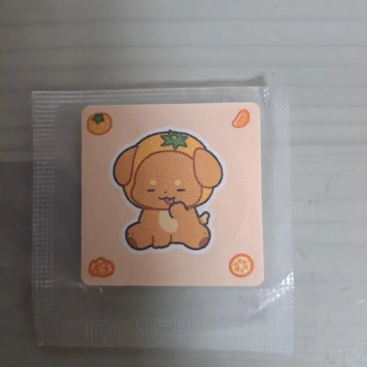 [SOLD OUT] 일괄)픽셀리 띠부씰+스티커+공룡 포토카드 판매