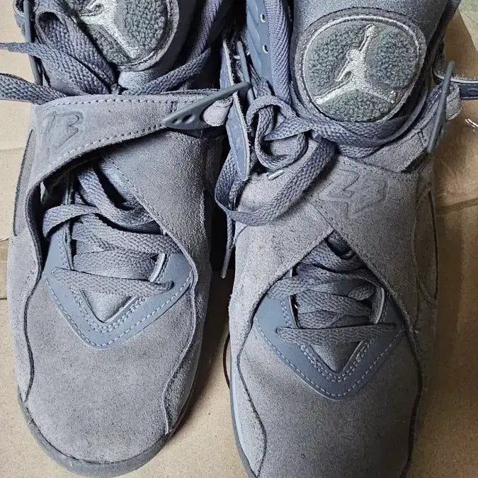 [BUNJANG] Jordan 8 Retro Cool Grey Sneakers / 조던8 레트로 Cool Grey 쿨그레이