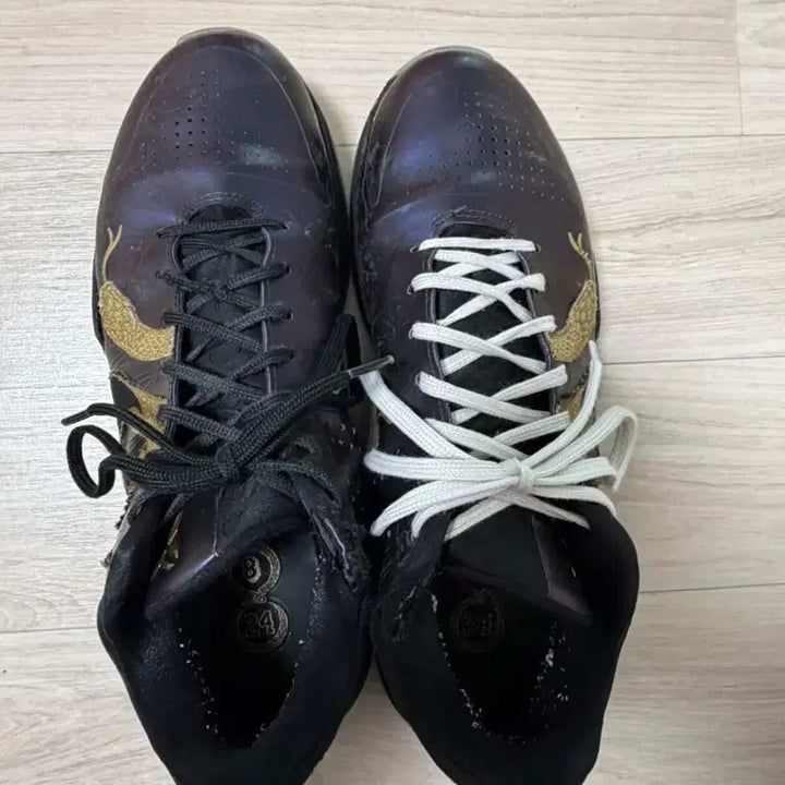 [BUNJANG] Kobe 5 Basketball Shoes / 코비5
