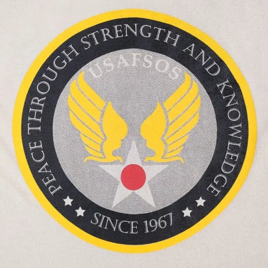 [BUNJANG] US Air Force Special Operations School T-shirt (Medium) / 미공군 특수작전학교 반팔 티셔츠 M