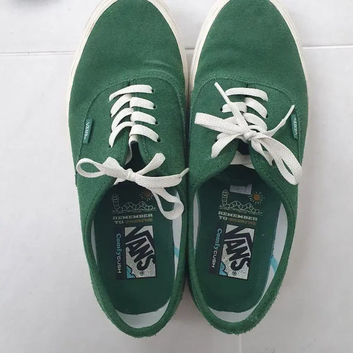 [BUNJANG] Vans Authentic Comfycush Suede Sneakers / 반스 어센틱 컴피쿠시 스웨이드 그린