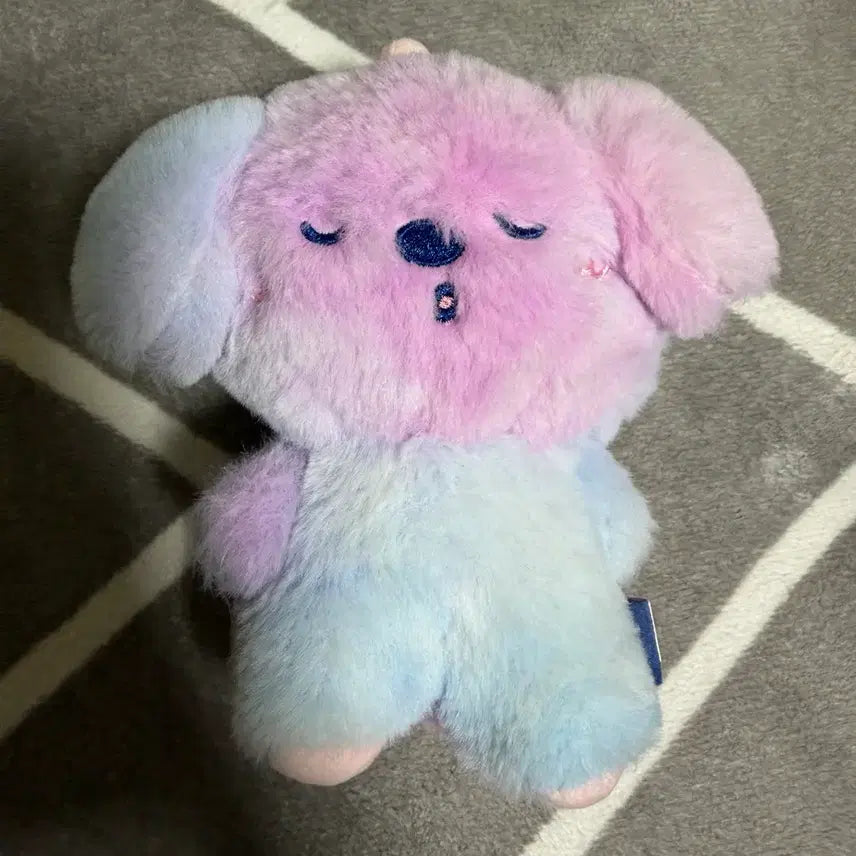 [SOLD OUT] 라이즈 보이스키링 앤톤 멍룡이+건전지