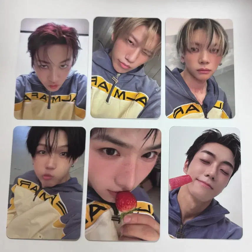 [SOLD OUT] 모디세이 엠카 공방포카