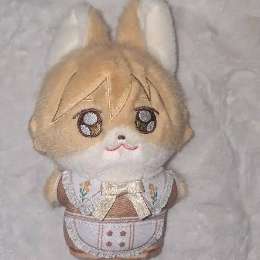[SOLD OUT] 앙스타 마시로토모야 여우누이 카페누이