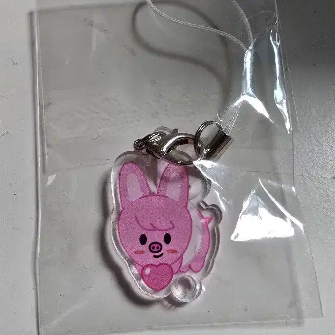 [BUNJANG] Stray Kids Fanmeeting Keyring / 스트레이키즈 팬미팅 키링