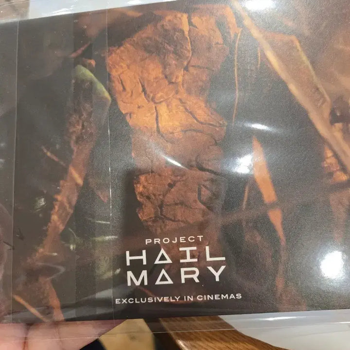 [BUNJANG] Project Hail Mary Movie Merchandise / 프로젝트 헤일 메리 영화 굿즈