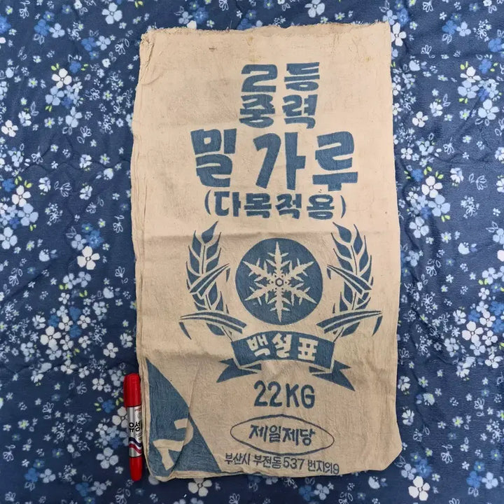 [SOLD OUT] 백설표