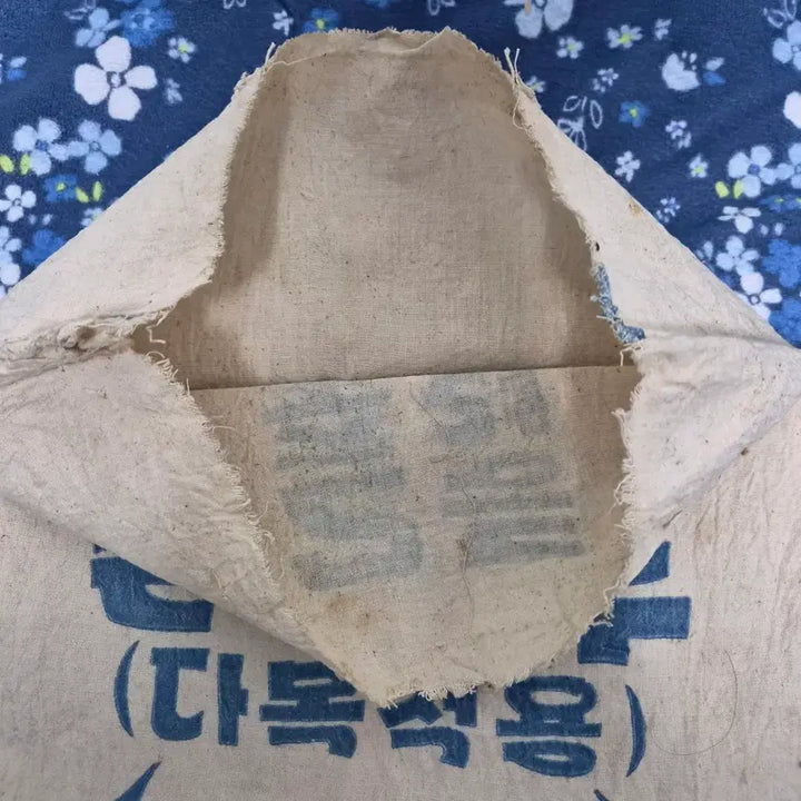 [SOLD OUT] 백설표