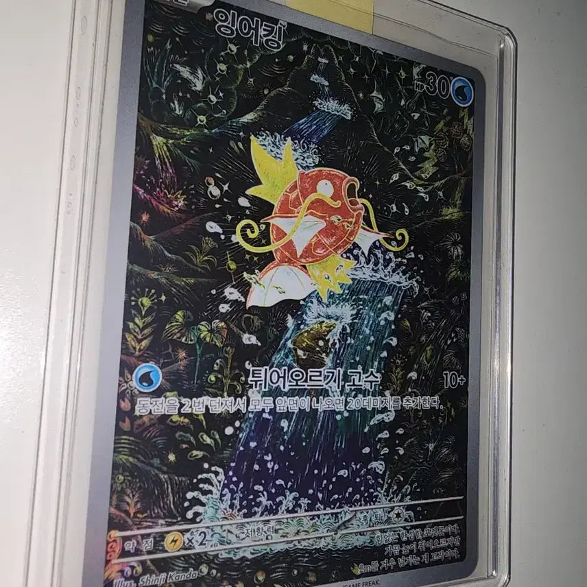 [SOLD OUT] 잉어킹 ar