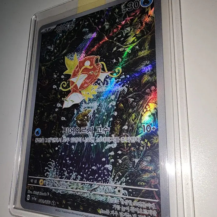 [SOLD OUT] 잉어킹 ar