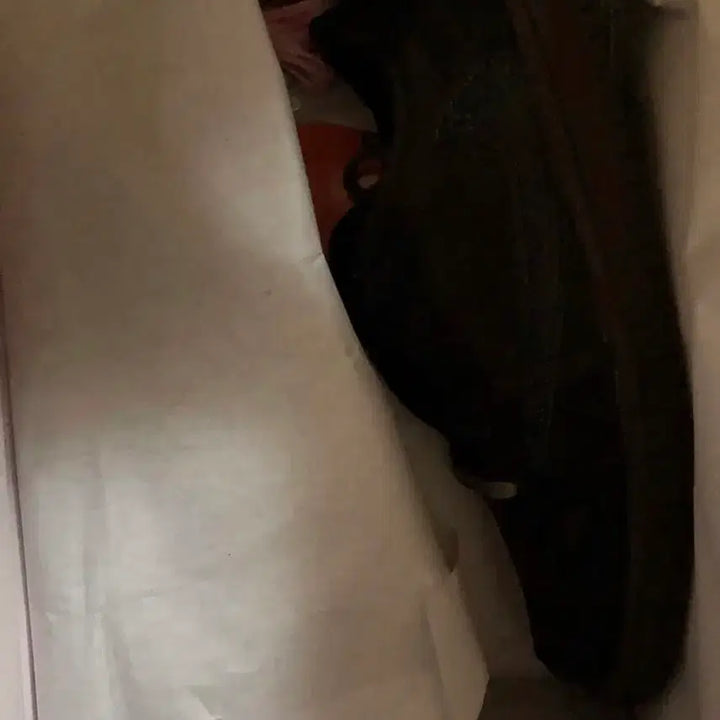 [BUNJANG] (오늘만급처)나이키 조던 스캇 벨벳브라운220 새상품 / (오늘만급처)나이키 조던 스캇 벨벳브라운220 새상품