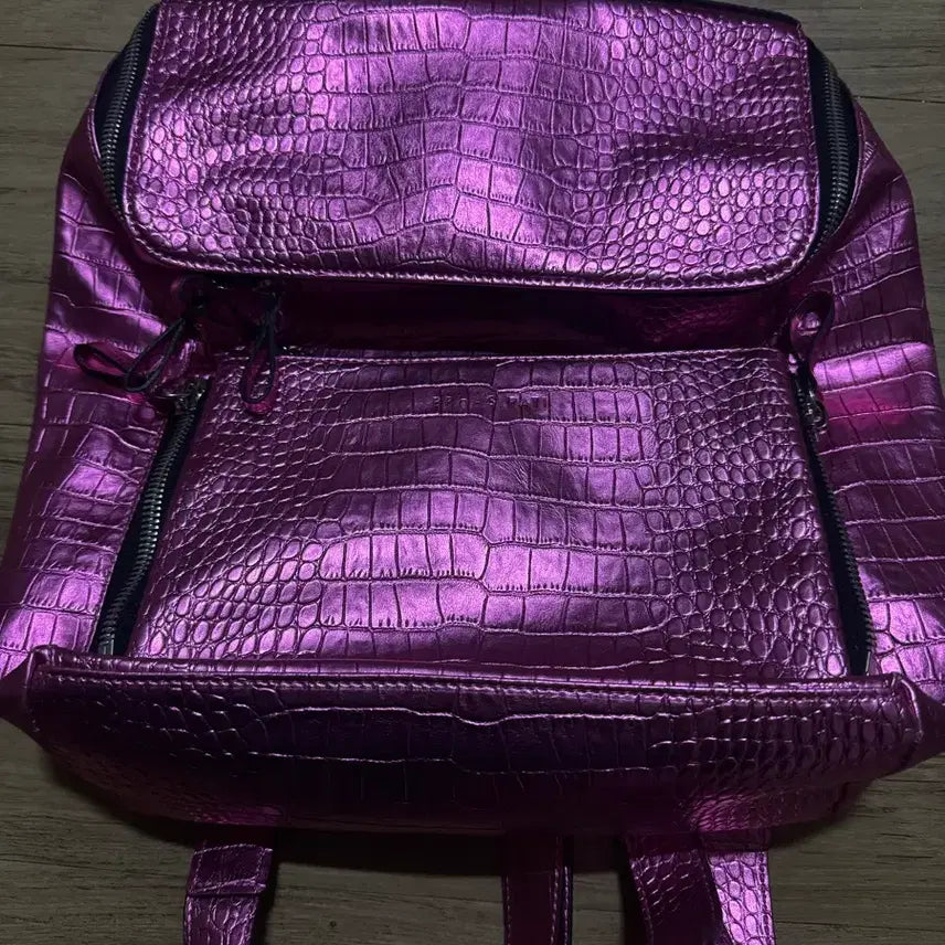 [SOLD OUT] 브라스파티 백팩