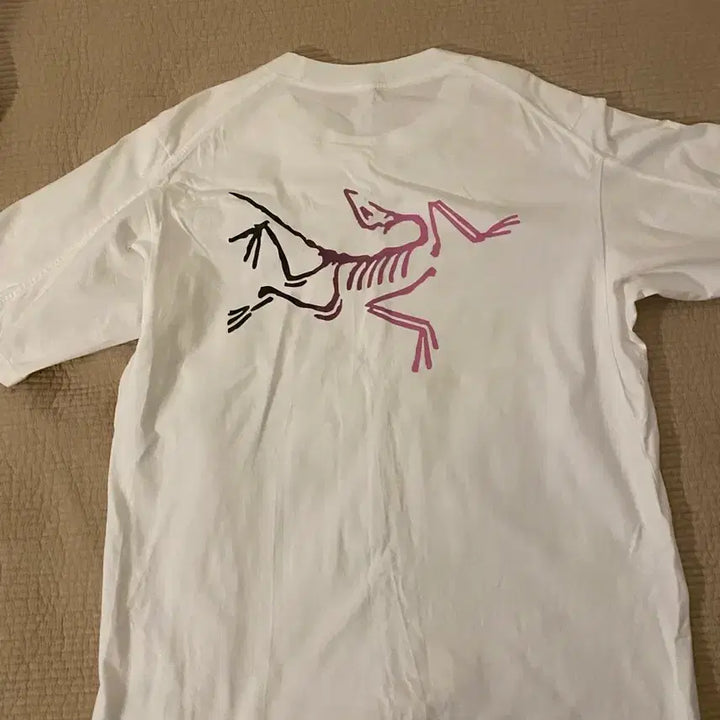 [SOLD OUT] 아크테릭스 반팔
