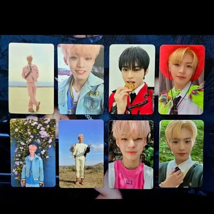 [SOLD OUT] 온앤오프 효진 포카 일괄