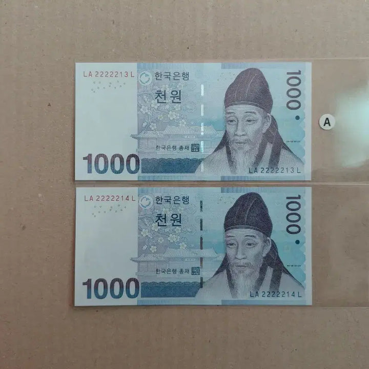 [SOLD OUT] 특이 연결 번호 (2종) 오리지널 [파이브카]