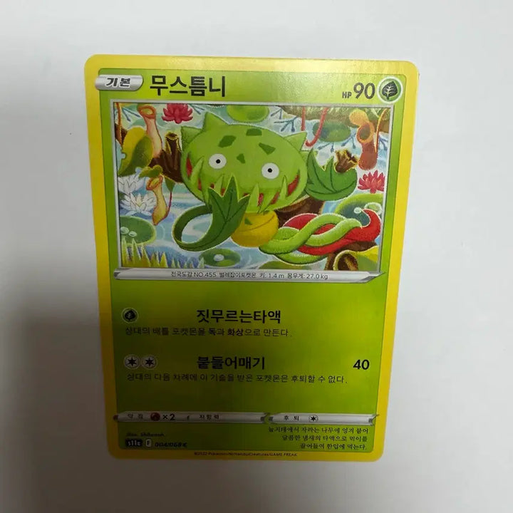 [BUNJANG] Mustemni Pokemon Card / 무스틈니 포켓몬카드