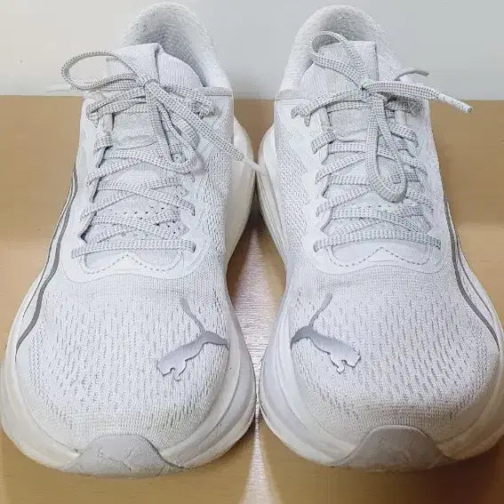 [BUNJANG] Puma MagmaX Nitro 260 Running Shoes / 퓨마 매그맥스 나이트로 260 러닝화