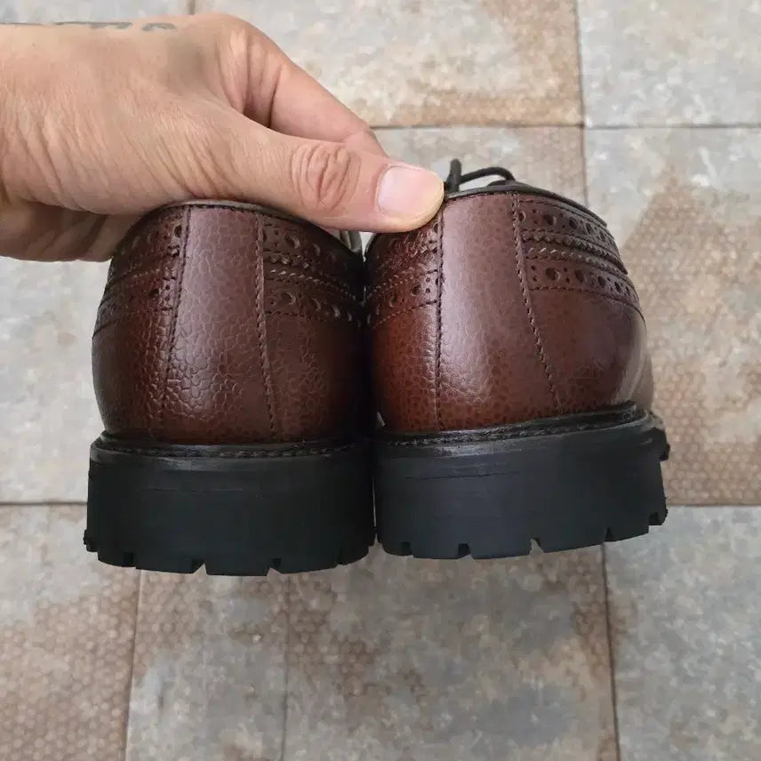 [SOLD OUT] (250)버윅 4225 롱 윙팁 구두