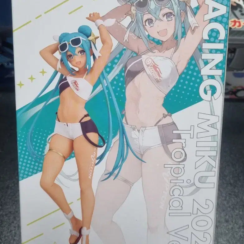 [BUNJANG] Hatsune Miku Official Sealed Figure / 하츠네 미쿠 (정품,미개봉,배포)
