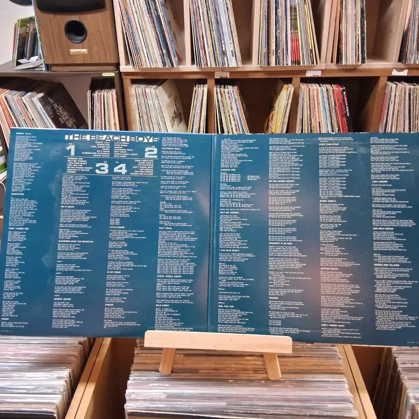 [SOLD OUT] 여름 애창 팝송 비치 보이스 더블  LP 음반