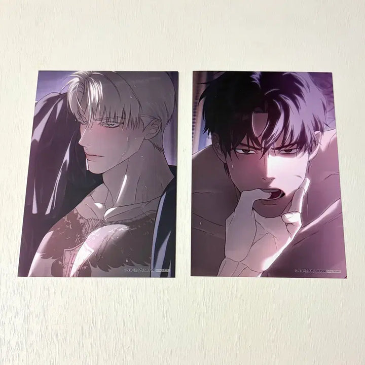 [BUNJANG] Code Name Anastasia MoFun POB Bundle Set / 코드네임 아나스타샤 모펀 특전 엽서 제냐 택주 일괄