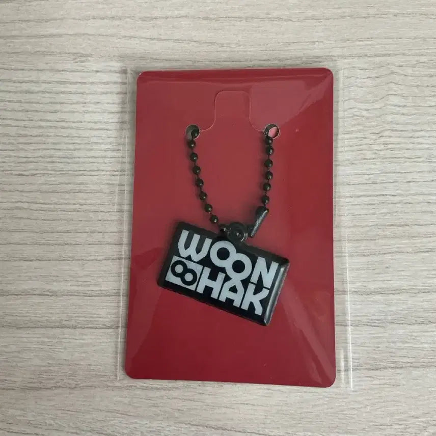 [BUNJANG] The Action Woonghak POB Keyring / 디액션 운학 특전 키링