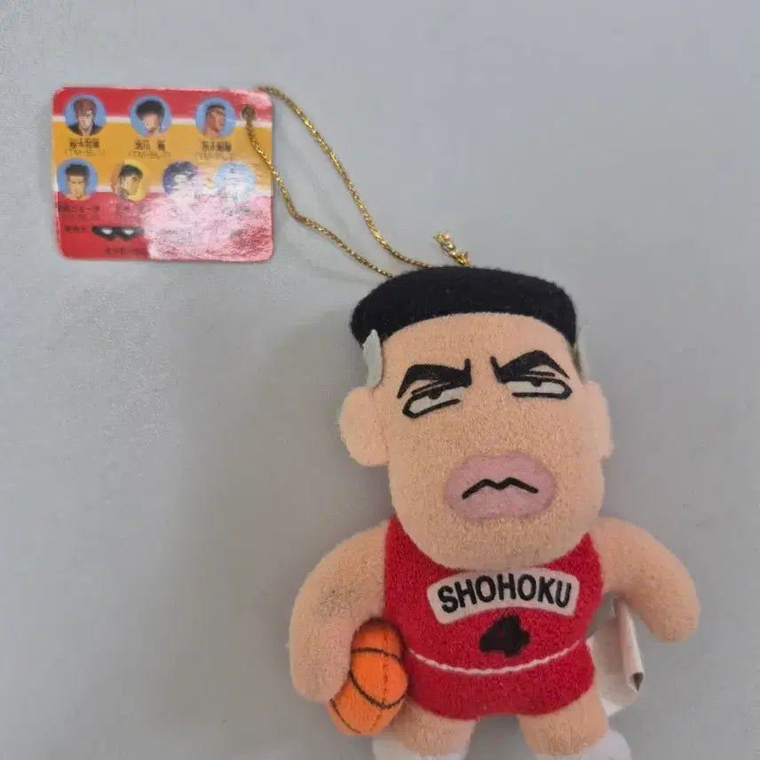 [BUNJANG] Slam Dunk Chaechi-su Plush Doll / 슬램덩크 채치수 누이