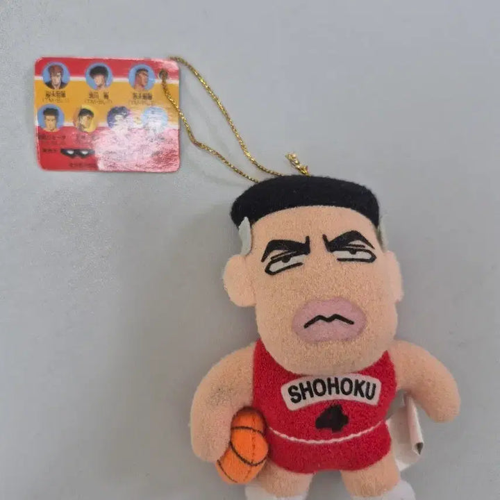 [BUNJANG] Slam Dunk Chaechi-su Plush Doll / 슬램덩크 채치수 누이
