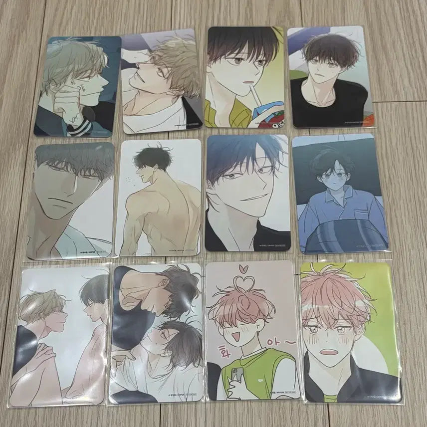 [BUNJANG] BL Cheongsa-gwag-won Cheongnak-won Photocard Bundle Set / bl 모펀 청사과낙원 청낙원 방문 포토카드 포카 방포 올클
