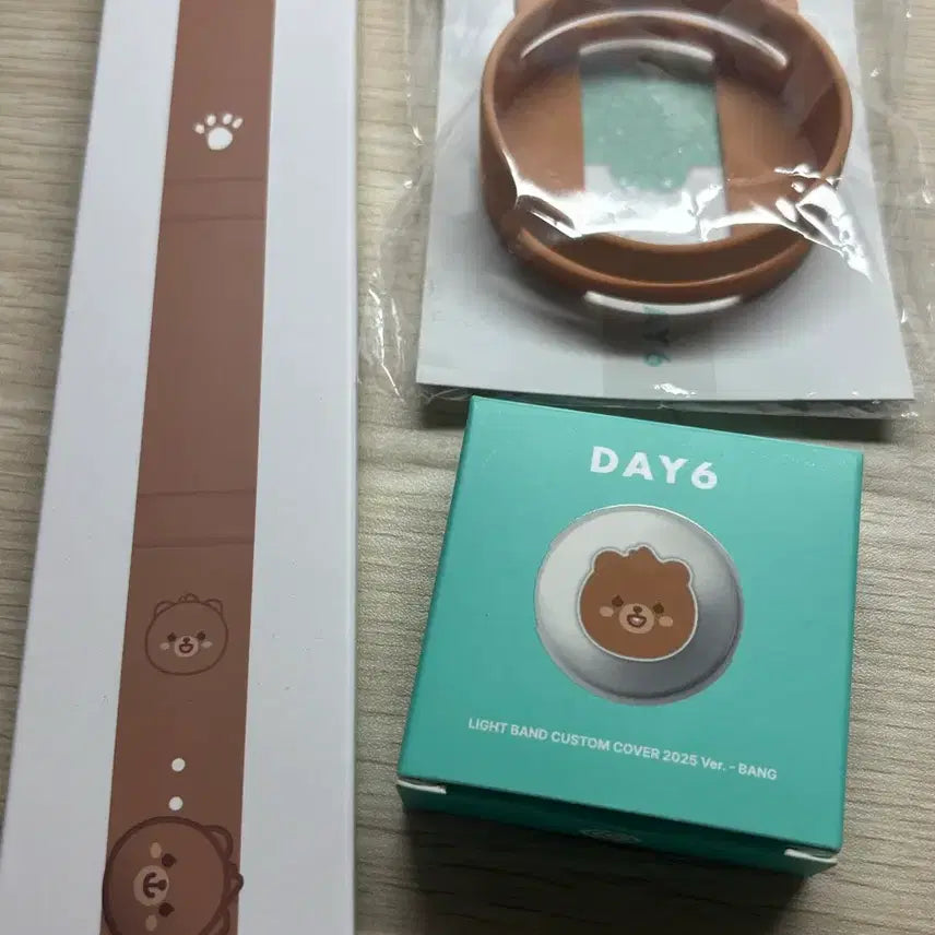 [SOLD OUT] DAY6 라이트 밴드 커스텀 커버