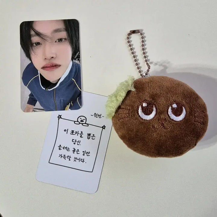 [BUNJANG] RIIZE Wonbin Dojjonku Tto Nyeongdeok Doll Keychain / 재입고예정! 라이즈 원빈 두쫀쿠 토냥덕 인형키링 박원빈