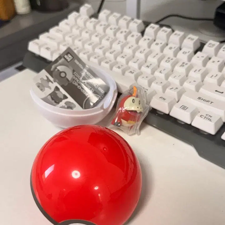 [BUNJANG] Pokemon Scraggy Figure / 포켓몬스터 뜨아거 피규어