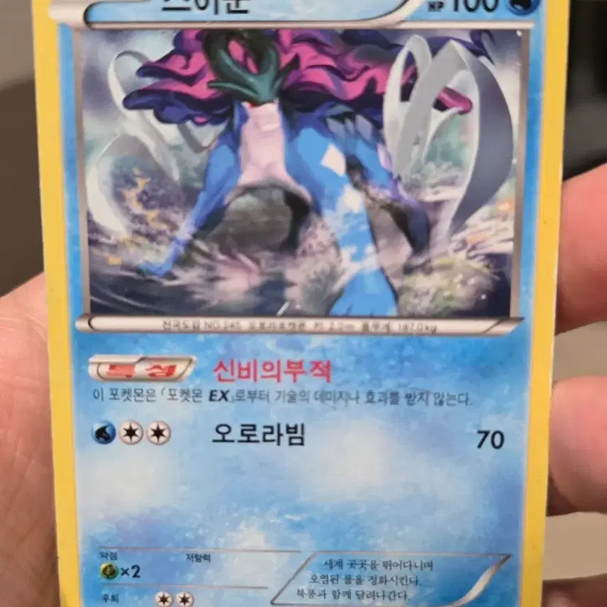 [BUNJANG] Pokemon Card 2013 Suicune G+K / 포켓몬카드 2013년 고대 스이쿤 G+K