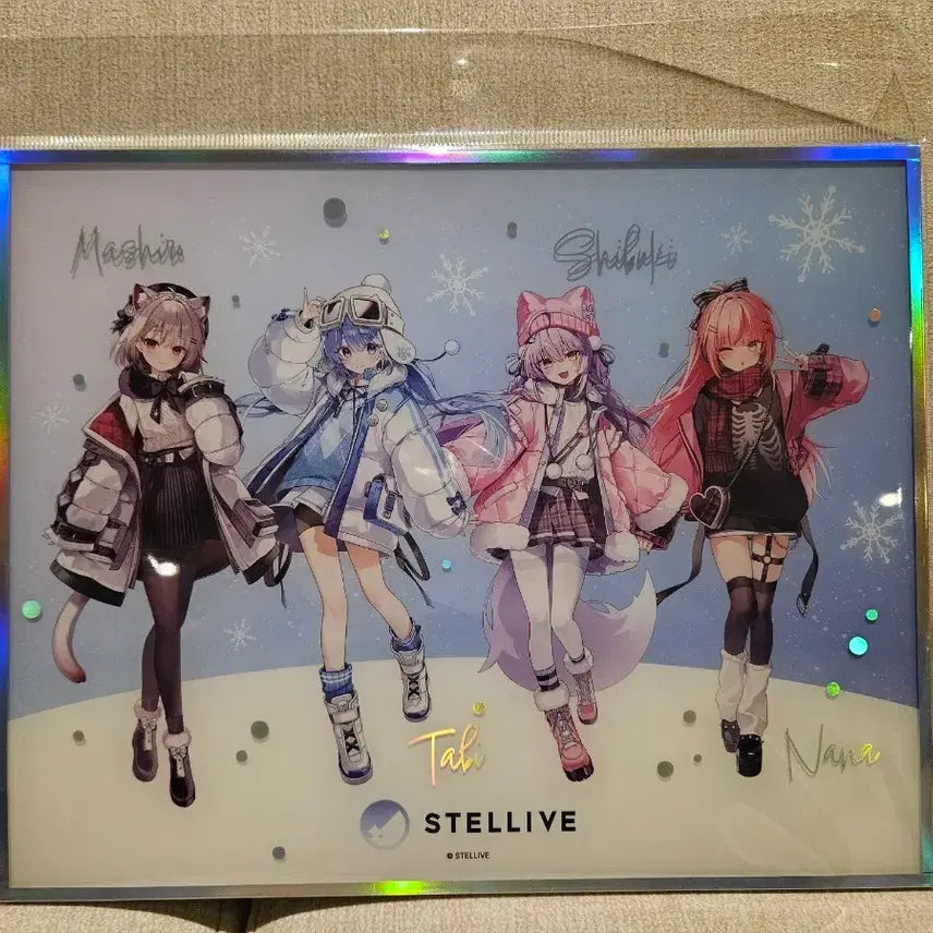 [BUNJANG] Stellive 2025 AGF Acrylic Frame / 5/22까지 할인 스텔라이브 2025 agf 아크릴 액자 팝니다.