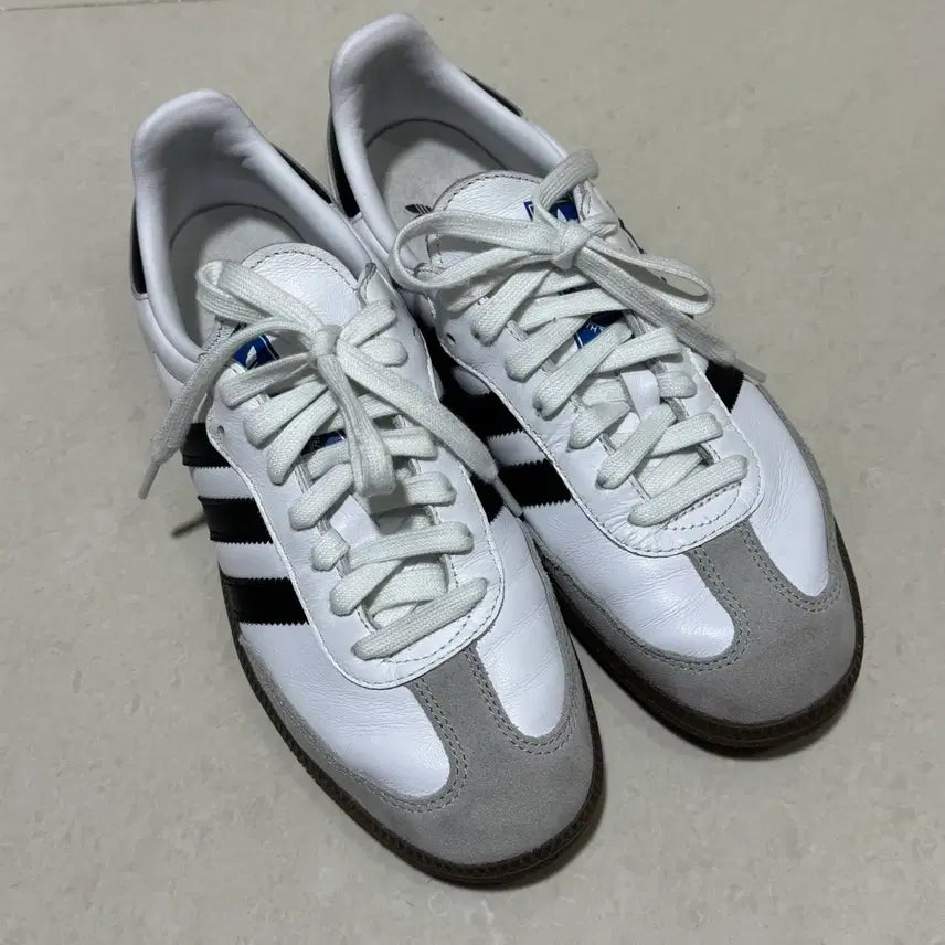 [BUNJANG] Adidas Samba OG Cloud White Sneakers / 250 아디다스 삼바 OG 클라우드 화이트