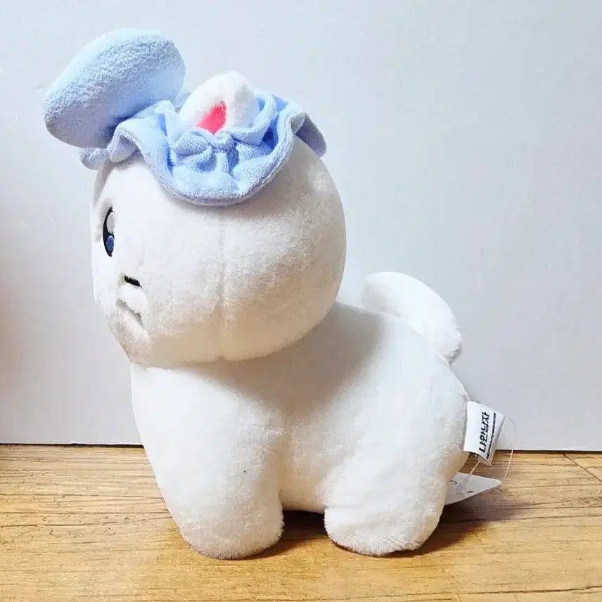 [BUNJANG] Kkojjiri Choonbae 25cm Doll / 꼬질이 춘배 25cm 인형
