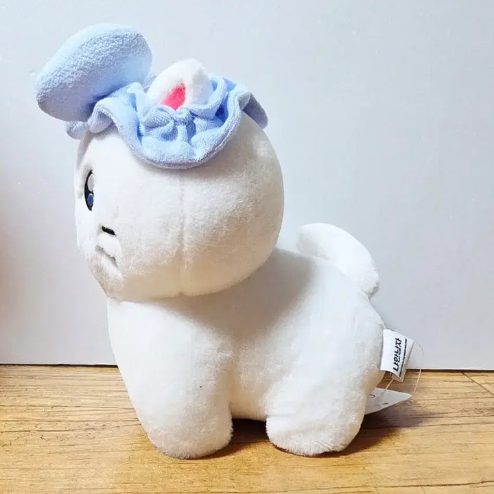 [BUNJANG] Kkojjiri Choonbae 25cm Doll / 꼬질이 춘배 25cm 인형