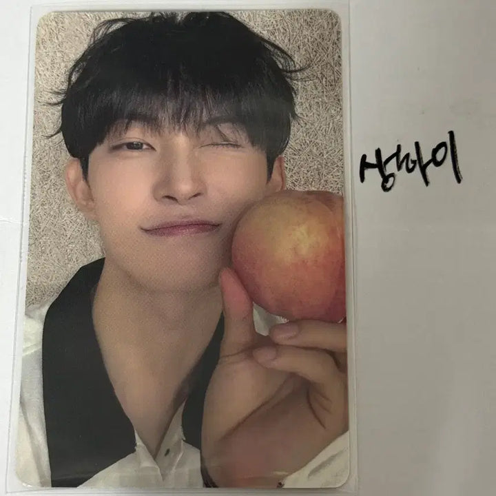 [SOLD OUT] 알파드라이브원 알디원 건우 보플 포카