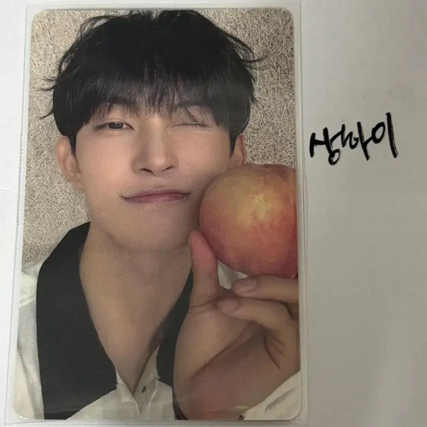 [SOLD OUT] 알파드라이브원 알디원 건우 보플 포카